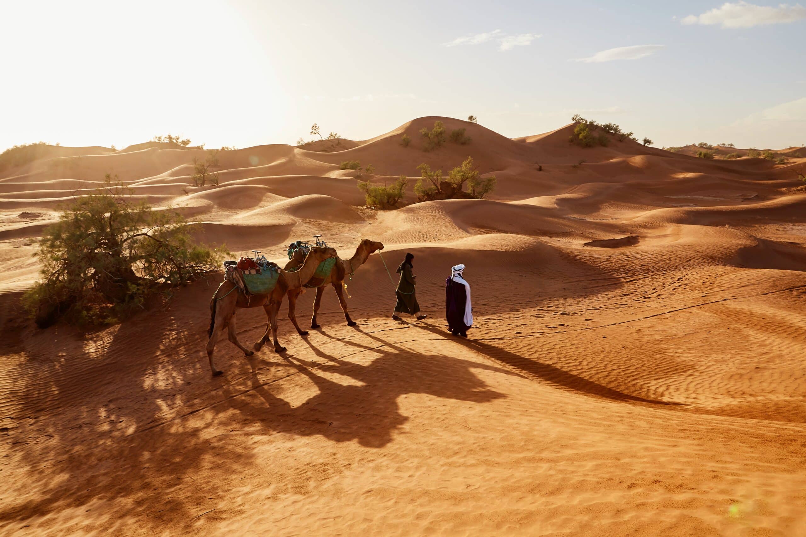 Desert Safari Dubai