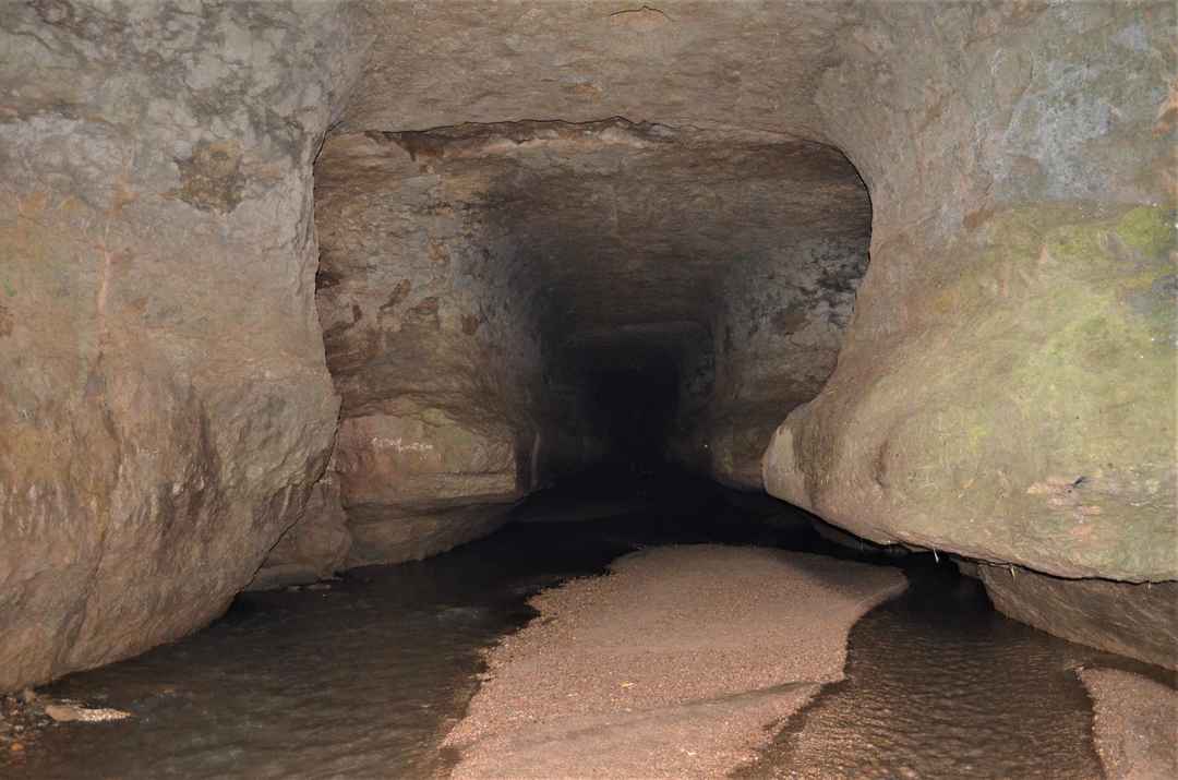 Siju Caves 