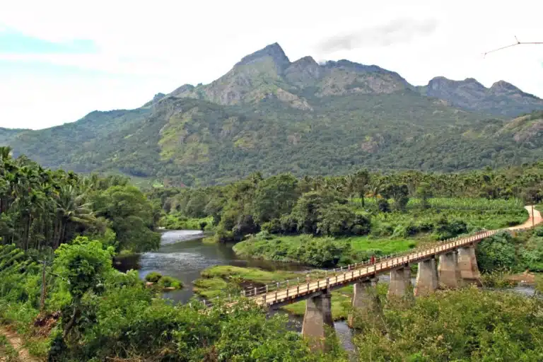 Anaikatti: A Breath of Fresh Air in the Tamil Nadu Jungle