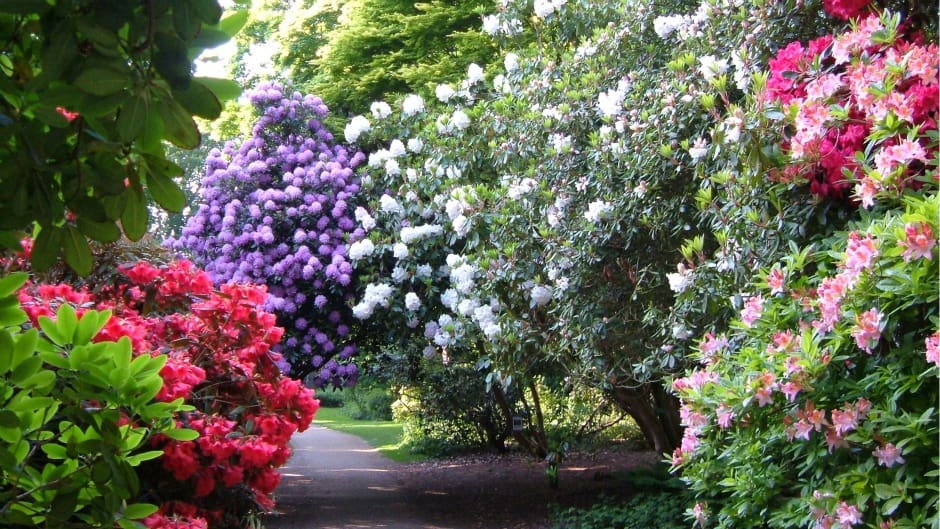 Sheringham Park
