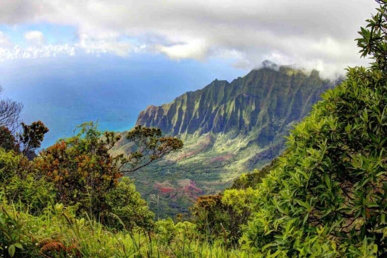 The Kalalau Lookout: A Breathtaking Oasis in Kauai, Hawaii