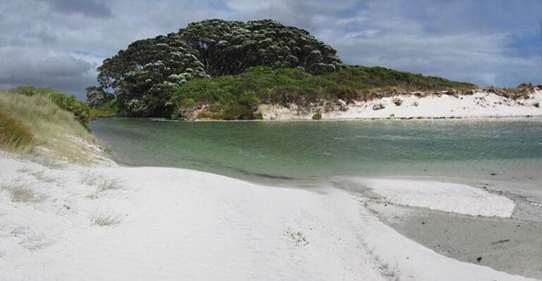 Rarawa Beach, Northland: A Hidden Gem on the Eastern Shore of the Aupouri Peninsula