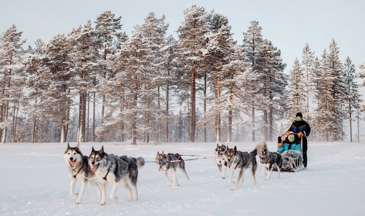 husky safari in Rovaniemi, two people enjoying ride pulled by six huskies