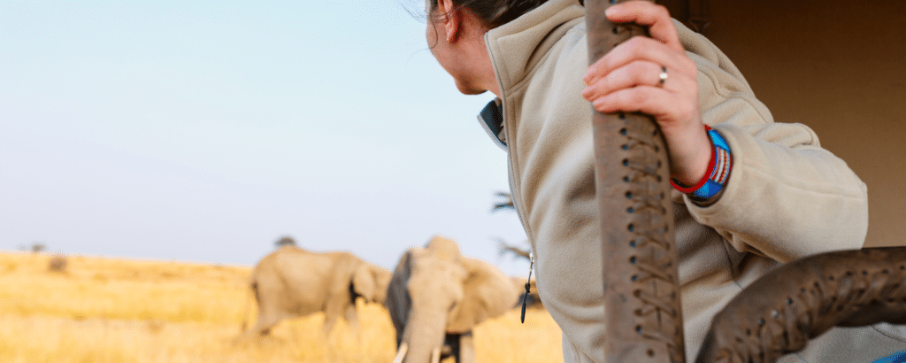 a woman watching two wild elephants from a safari vehicle