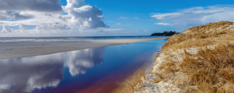 Rarawa Beach: Unveiling the Enchanting Beauty of a Hidden Paradise!