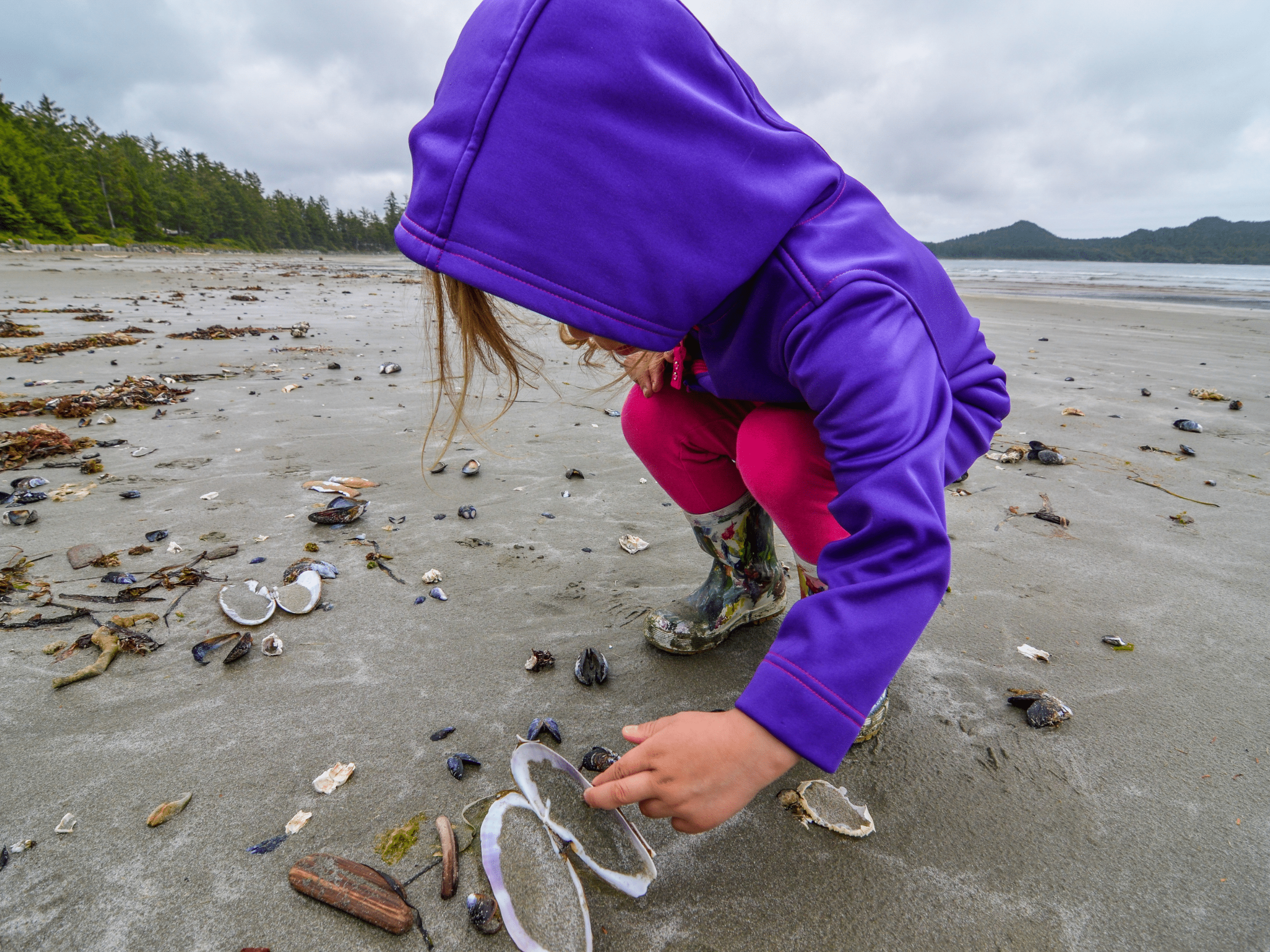a child beachcombing and collecting beach shells