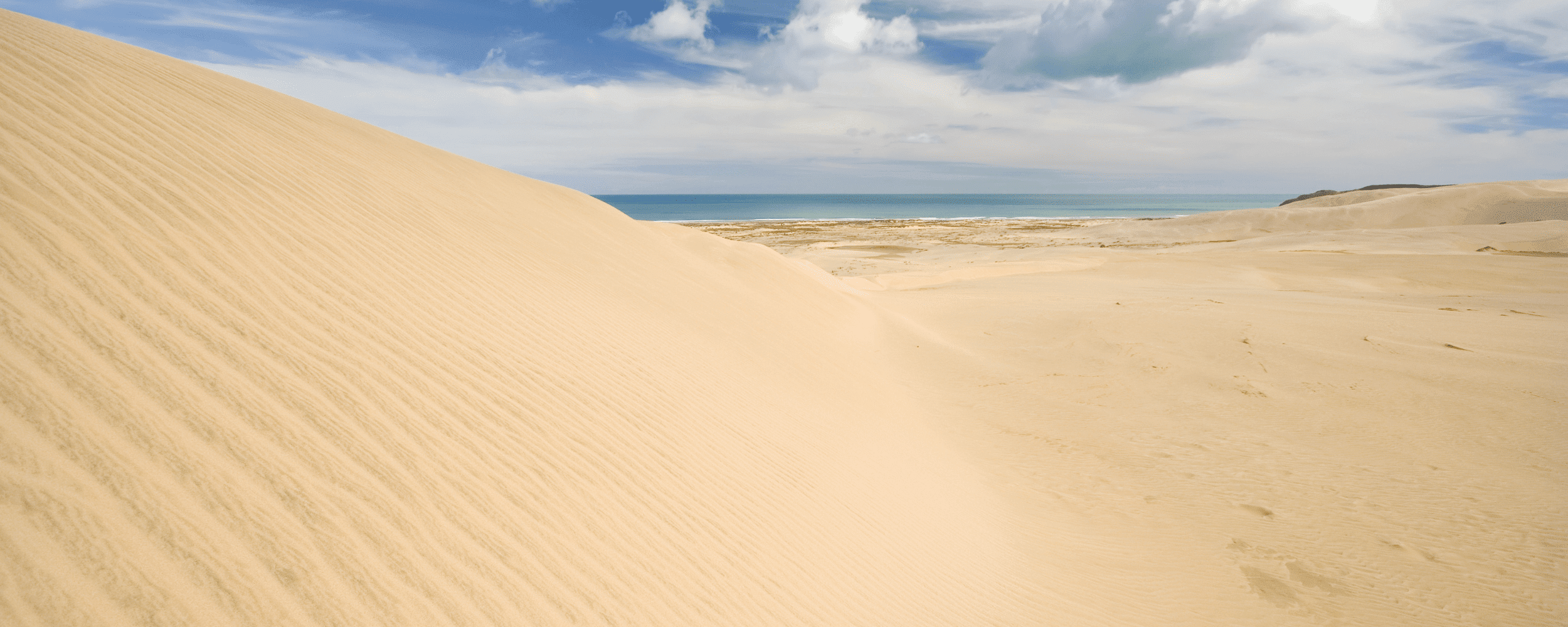 majestic beach sand dunes