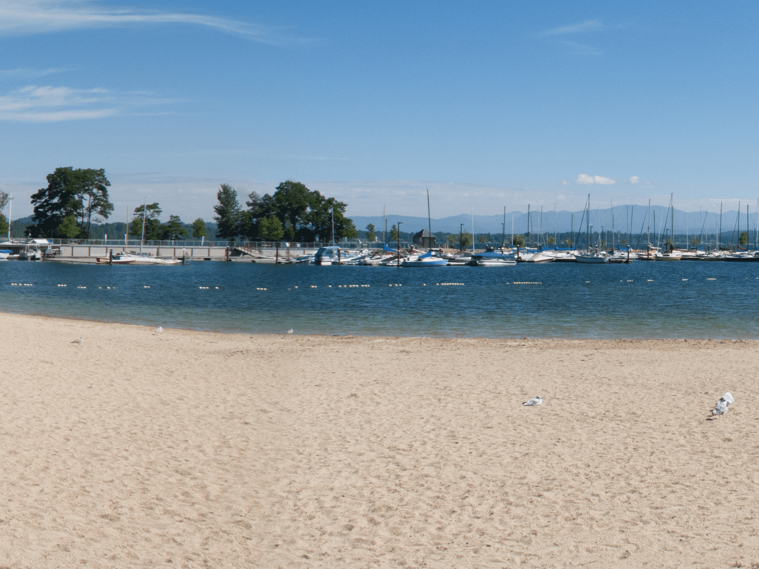 Boats parked at sandpoint beach