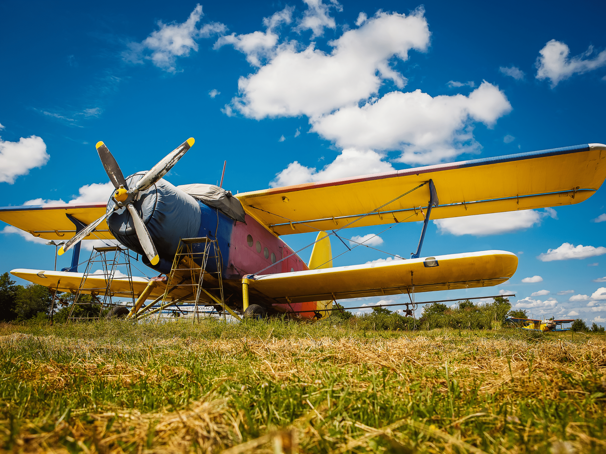 a vintage aircraft at the canadian aircraft association