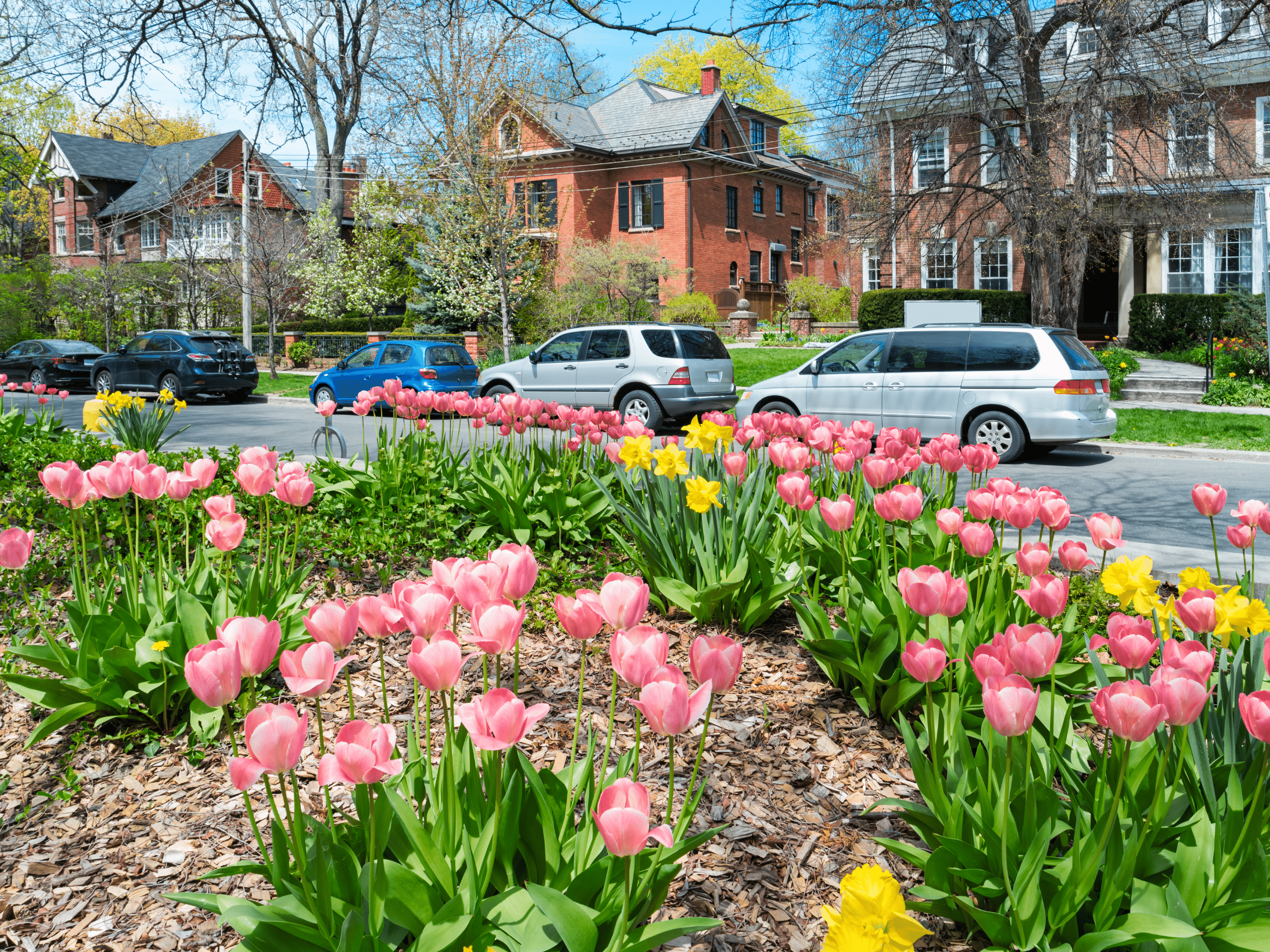 the beautiful walkerville neighbourhood road