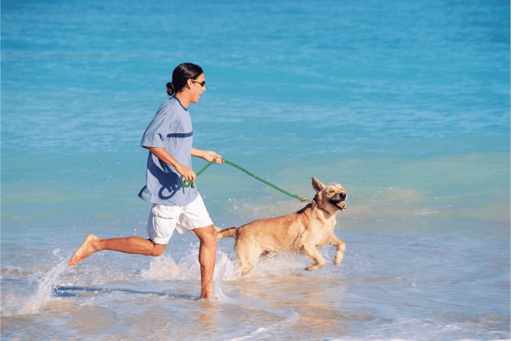 dog-beach-near-me-in-the-us