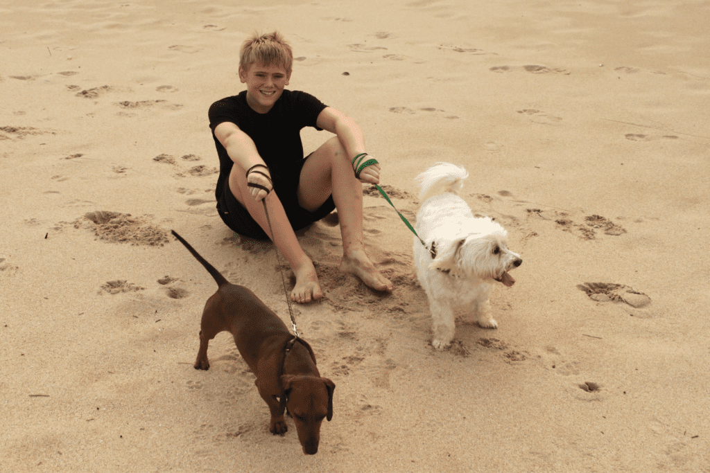 a small boy holding his two dogs on leash, sitting on the beach sand of harbour cove dog beach