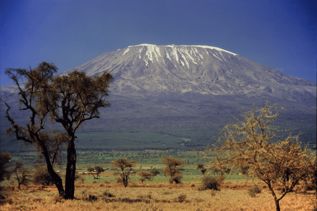 snow capped mount kilimanjaro in africa