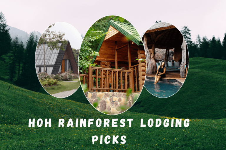 14 Best Hoh Rainforest Lodging Picks: A Beautiful Retreat