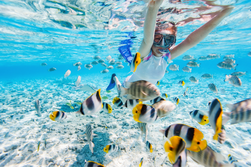 A child snorkeling in Plya Las Flores clear waters surround by beautiful yellow and silver fishes.
