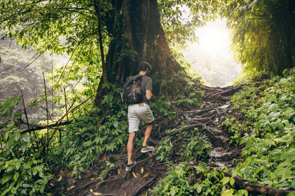 A young man hiking through Hall of Mosses with a backpack.