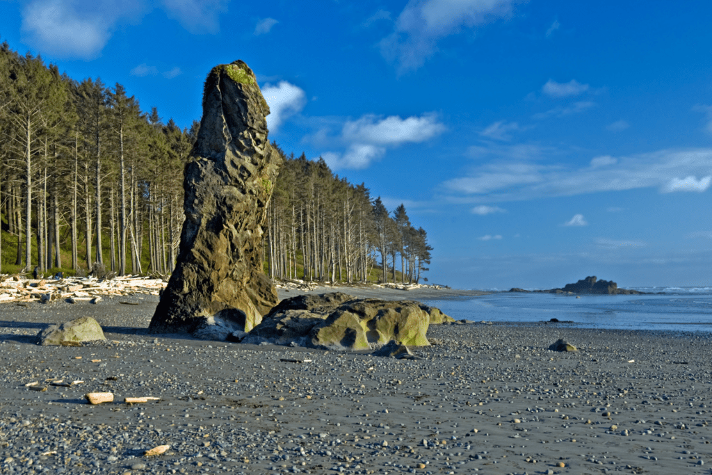 Ruby Beach nearby Hall of Mosses in Hoh rainforest.