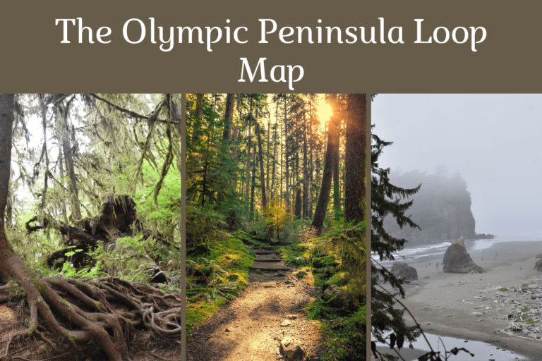 The Ultimate Olympic Peninsula Loop Map for Explorers