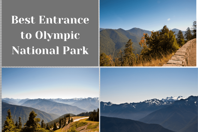 Discover The Best Entrance To Olympic National Park