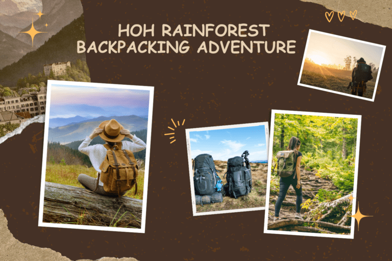 Hoh Rainforest Backpacking: A Beautiful Adventure
