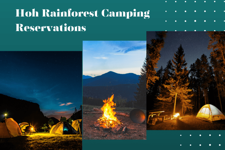Hoh Rainforest Camping Reservations: All You Need To Know
