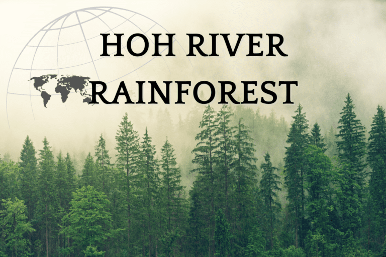 The Beautiful Hoh River Rainforest: Adventures Await!