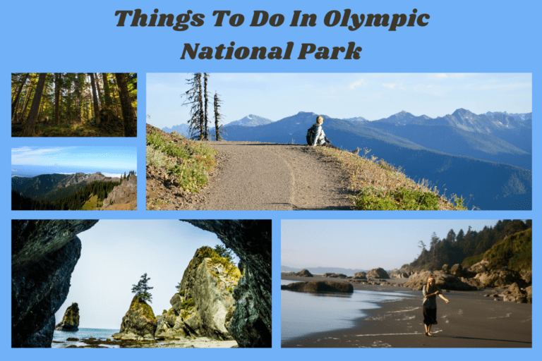 Things to do in Olympic national park