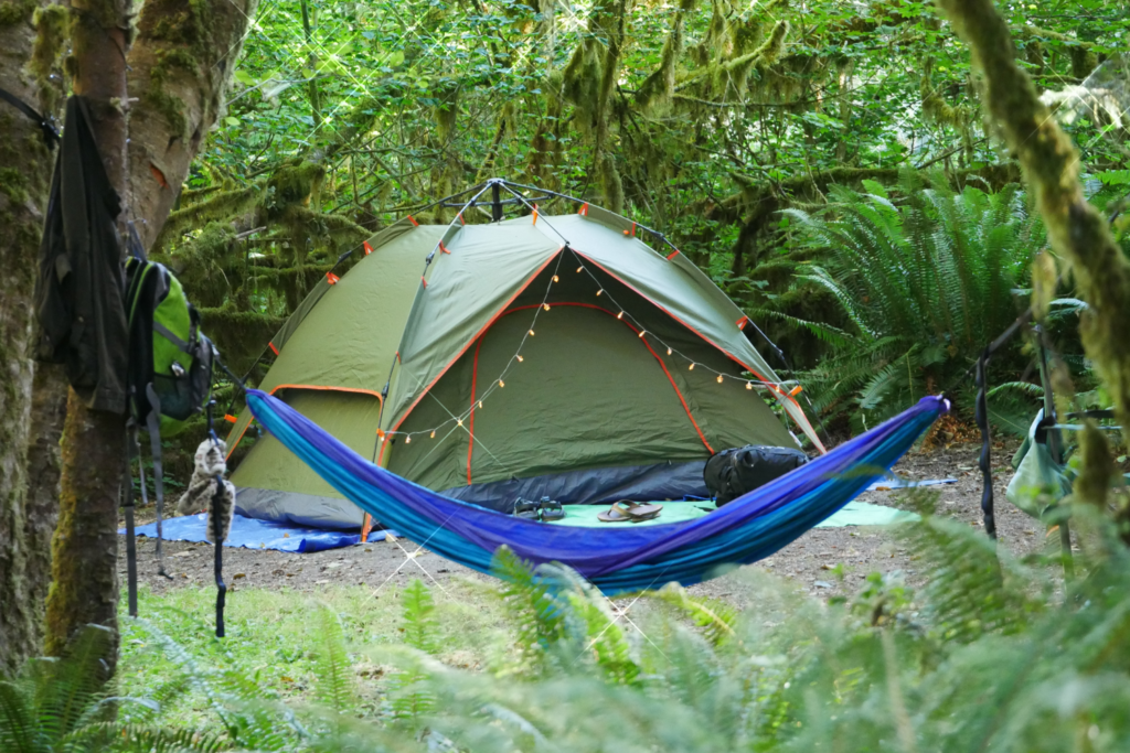 A tent at Hoh rainforest campground. Hoh Rainforest Camping Reservations campground.