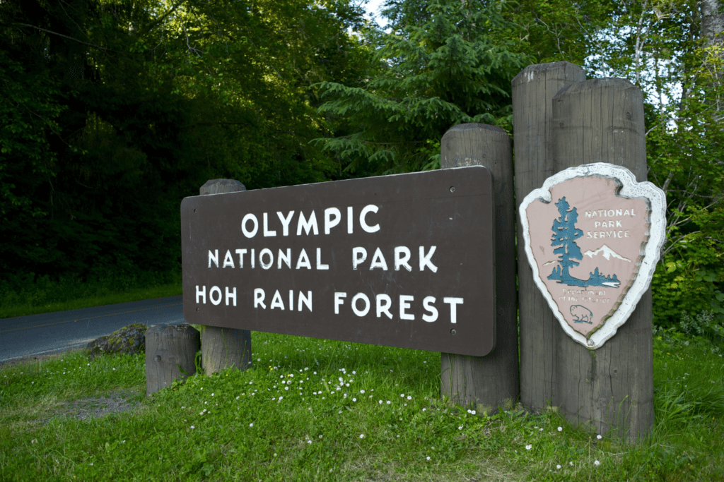 Hoh Rain Forest, Best Entrance to Olympic National Park.