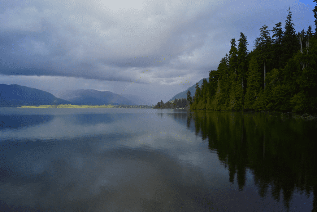 Lake Quinault, Best Entrance to Olympic National Park.