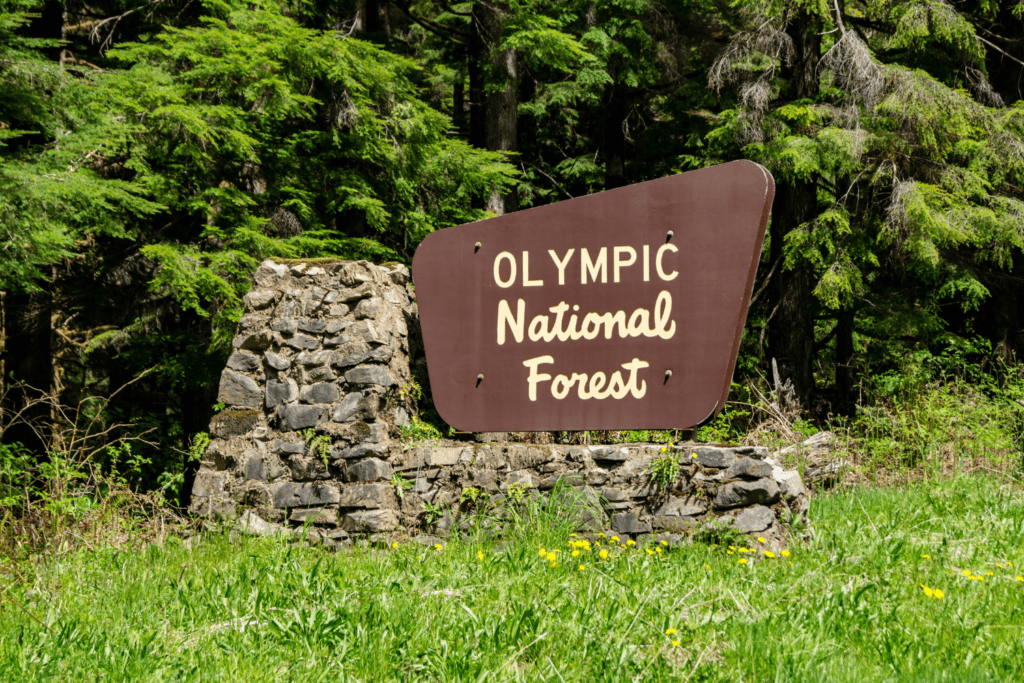 Olympic National Forest, Forks, WA.