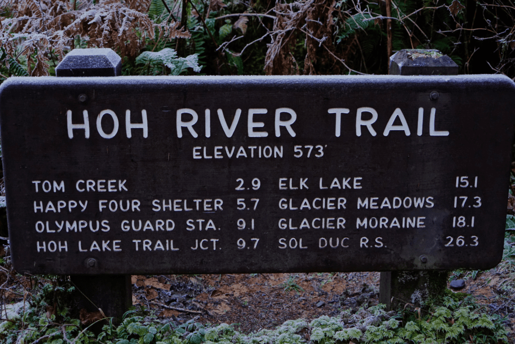 Hoh river trail, Best Day Hikes Olympic National Park