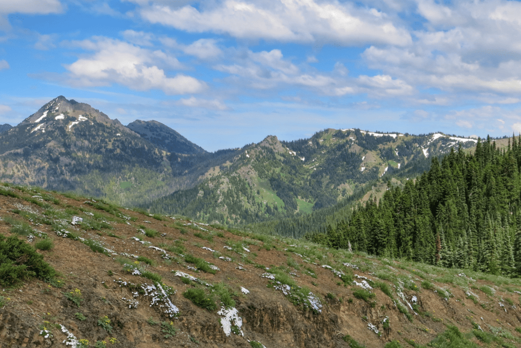 Hurrican Hill trail, Best Day Hikes in Olympic National Park