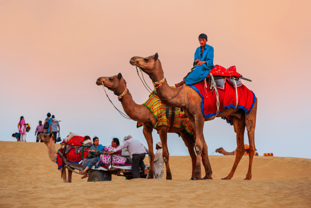 Camel Safari in Thar Desert, Jaisalmer, best bachelor destinations in India.