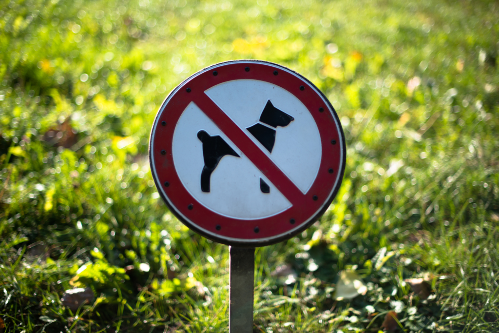 Dogs not allowed sign board.