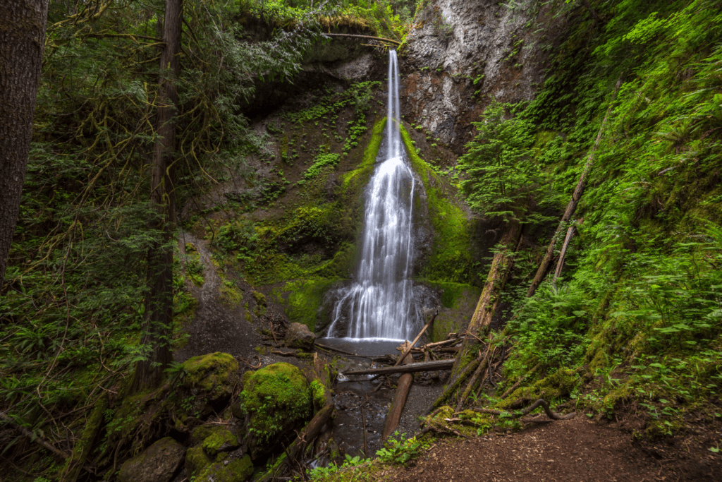 Marymere Falls in Hoh rainforest