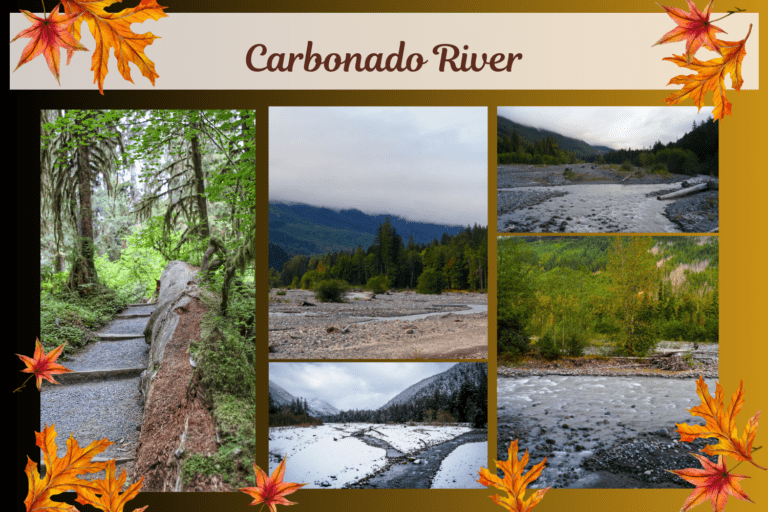 Exploring the wonderful Carbonado River and Its Surroundings
